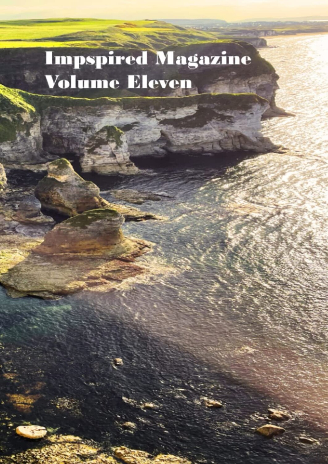 Cover of Impspired Magazine Volume Eleven