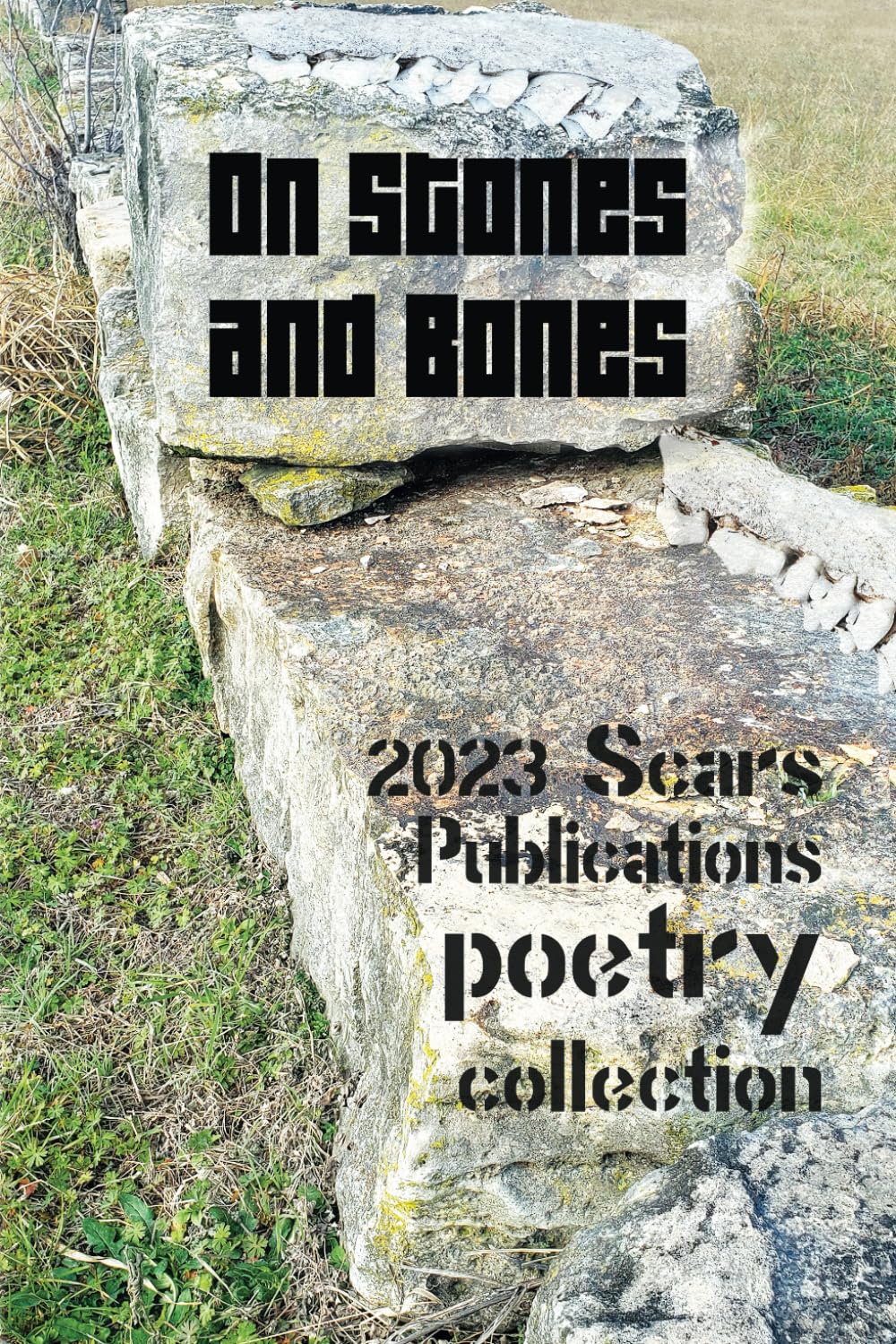 Cover of On Stones and Bones, a Scars Publications 2023 poetry and art anthology featuring James Mulhern