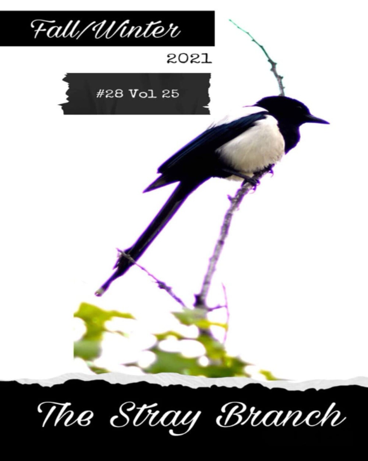 Cover of The Stray Branch, Fall/Winter, #28 Vol 25