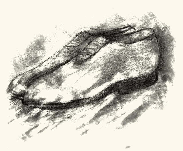 A single worn shoe, its laces loose.