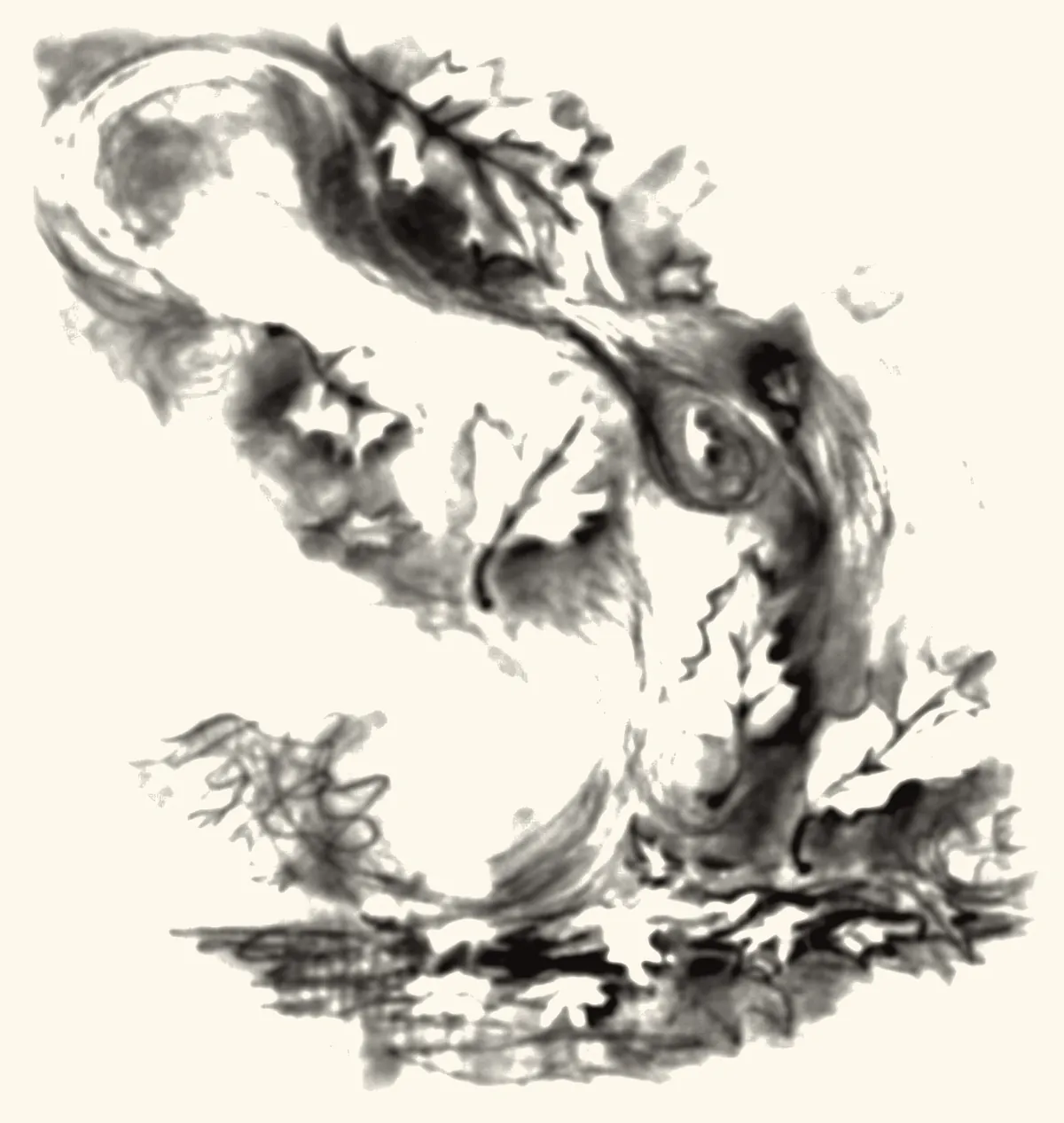 A swirl of wind and falling leaves above the ground.