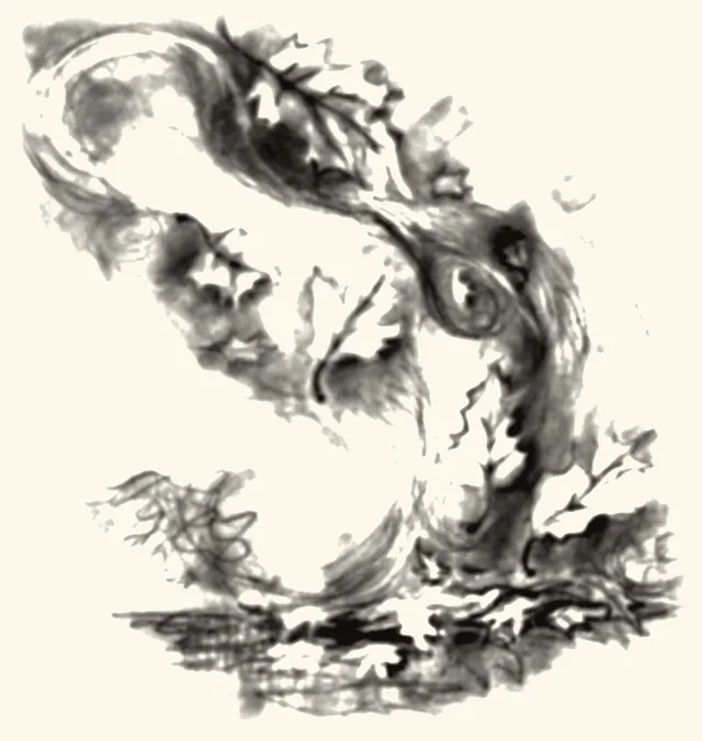 A swirl of wind and falling leaves above the ground.