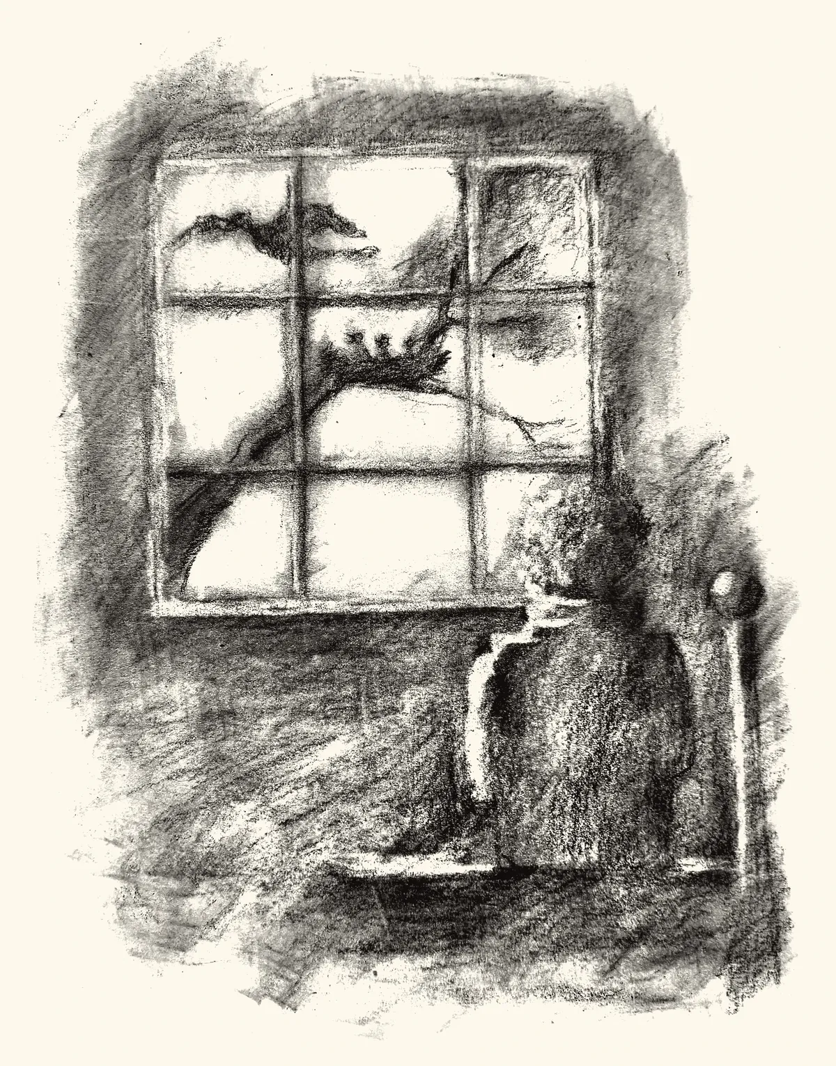 A bedroom window, a maple branch and a nest beyond the panes.