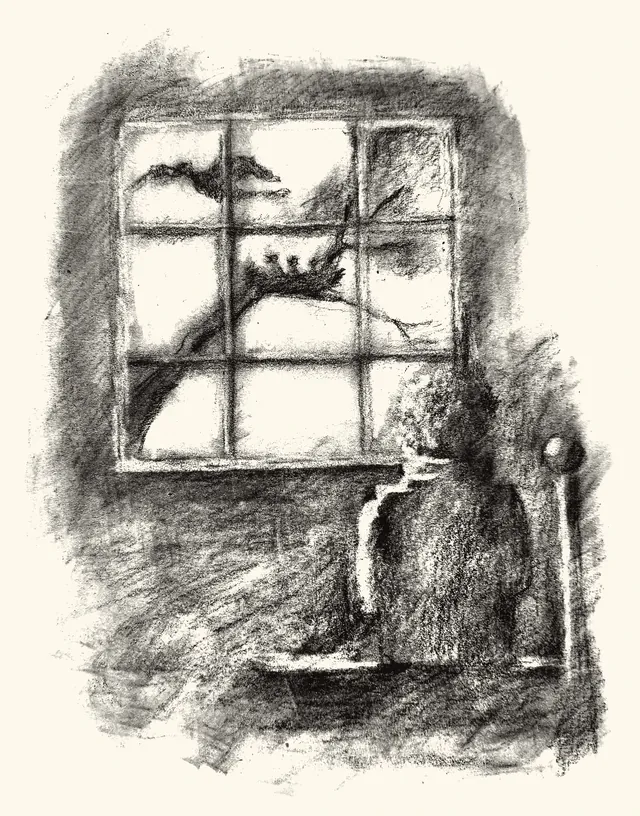 A bedroom window, a maple branch and a nest beyond the panes.
